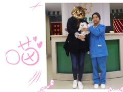 出院的时候，17最爱的护士小姐姐-菲丽丝宠物医院·24小时·猫科中心·免疫点(淮海分院)