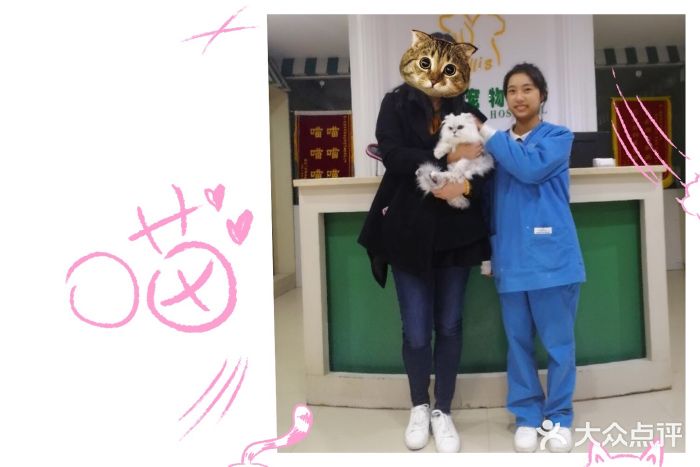 菲丽丝宠物医院·24小时·猫科中心·免疫点(淮海分院)出院的时候，17最爱的护士小姐姐图片