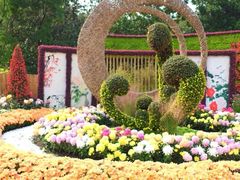 -上海共青森林公园