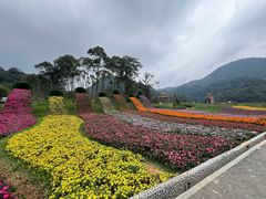 -广州市石门国家森林公园
