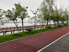 -艾溪湖湿地公园
