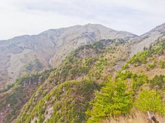 -朱雀国家森林公园