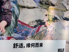 -东方福来德