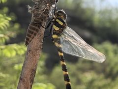 -白水寺森林公园