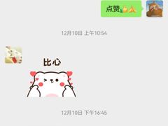 -优车会·V-KOOL威固(北山店)