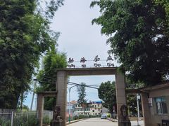 -大益茶庭(勐海会员中心店)