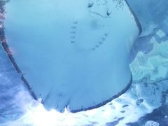 -泉城欧乐堡海洋极地世界