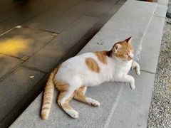 -杏花樓(福州路总店)