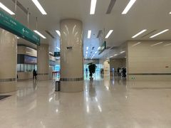 -中国人民解放军总医院