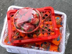 -南京众彩农副产品配送有限公司