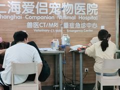 -爱侣宠医·鹦鹉专科·小型哺乳类·异宠专科(灵石路店)