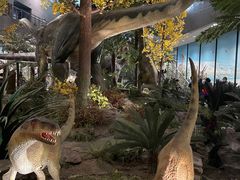 -湖南省地质博物馆