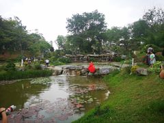 -东莞植物园
