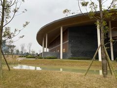 -桤木河湿地公园