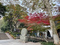 -知味观(湖滨总店)