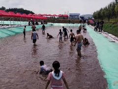 -庆岭迎宾园正宗活鱼馆