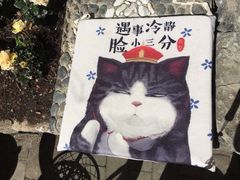-喵屿·大理花园猫咖