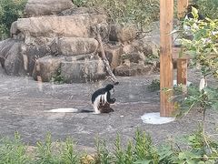 -上方山森林动物世界