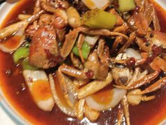 -杨氏青龙虾·羊蝎子(金盛路总店)