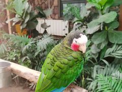 -南宫五洲植物乐园