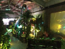 -恐龙探索乐园(磁器口店)