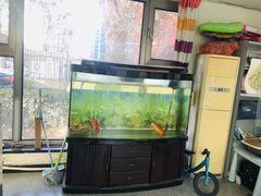 -佳明游泳馆(惠新西街南口店)