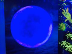 -天津梵高星空艺术馆(天河城旗舰店)
