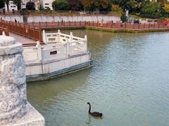 -南通濠河风景名胜区