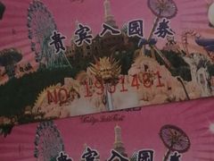 -南京银杏湖乐园