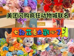 -美罗城