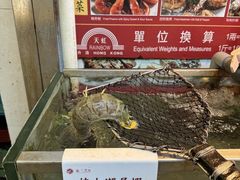 -南丫岛