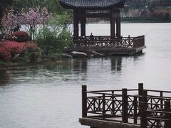 -官亭林海