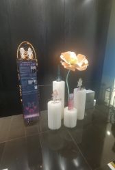 -丽妍雅集 Rubis SPA