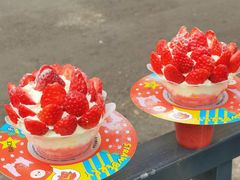 绵绵雪顶篝火杯-伏小桃(明瓦廊店)