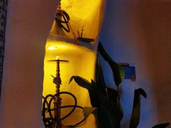 -Sirena海妖日咖夜酒