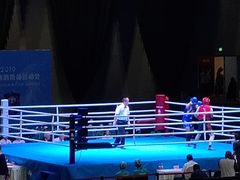 -成都金融城演艺中心