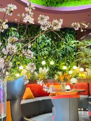 -花隐·美芙炫海菲秀皮肤管理中心