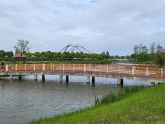 -春花秋色城市公园