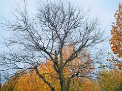 -天津东丽湖风景区