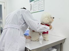-中国农业大学动物医院