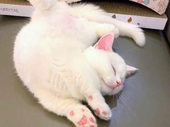 -海胆小馆(东北水饺·春柳店)