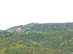 -大姆山草场