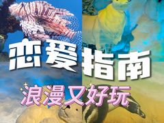 -海合安武汉极地海洋公园
