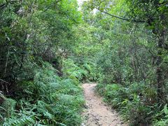 -梧桐山风景名胜区