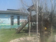 -临沂动植物园