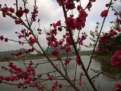 -南宁花花大世界景区