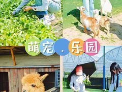 -栖露营camping·天幕烧烤·团建拓展·采摘营地