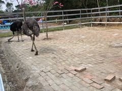 -田园寨农园观光园