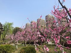 -木塔寺遗址生态公园