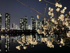 -东湖听涛景区